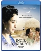 Blu-Ray Film Incir Cekirdegi