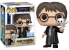 Funko Pop Harry Potter With Buddy Hedwig Special Edition No:197